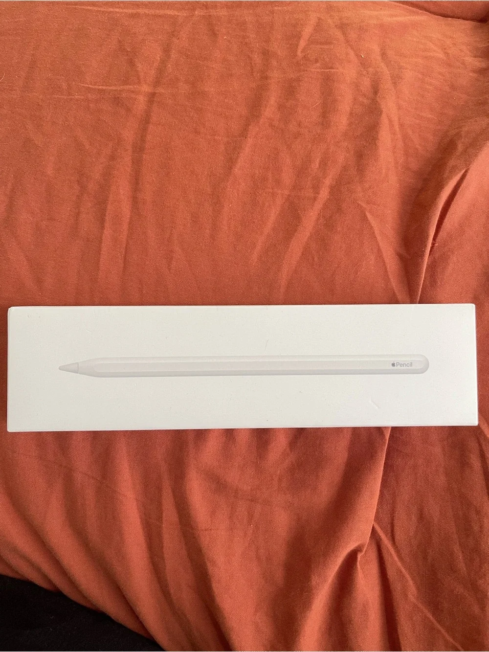 Apple stylus clean